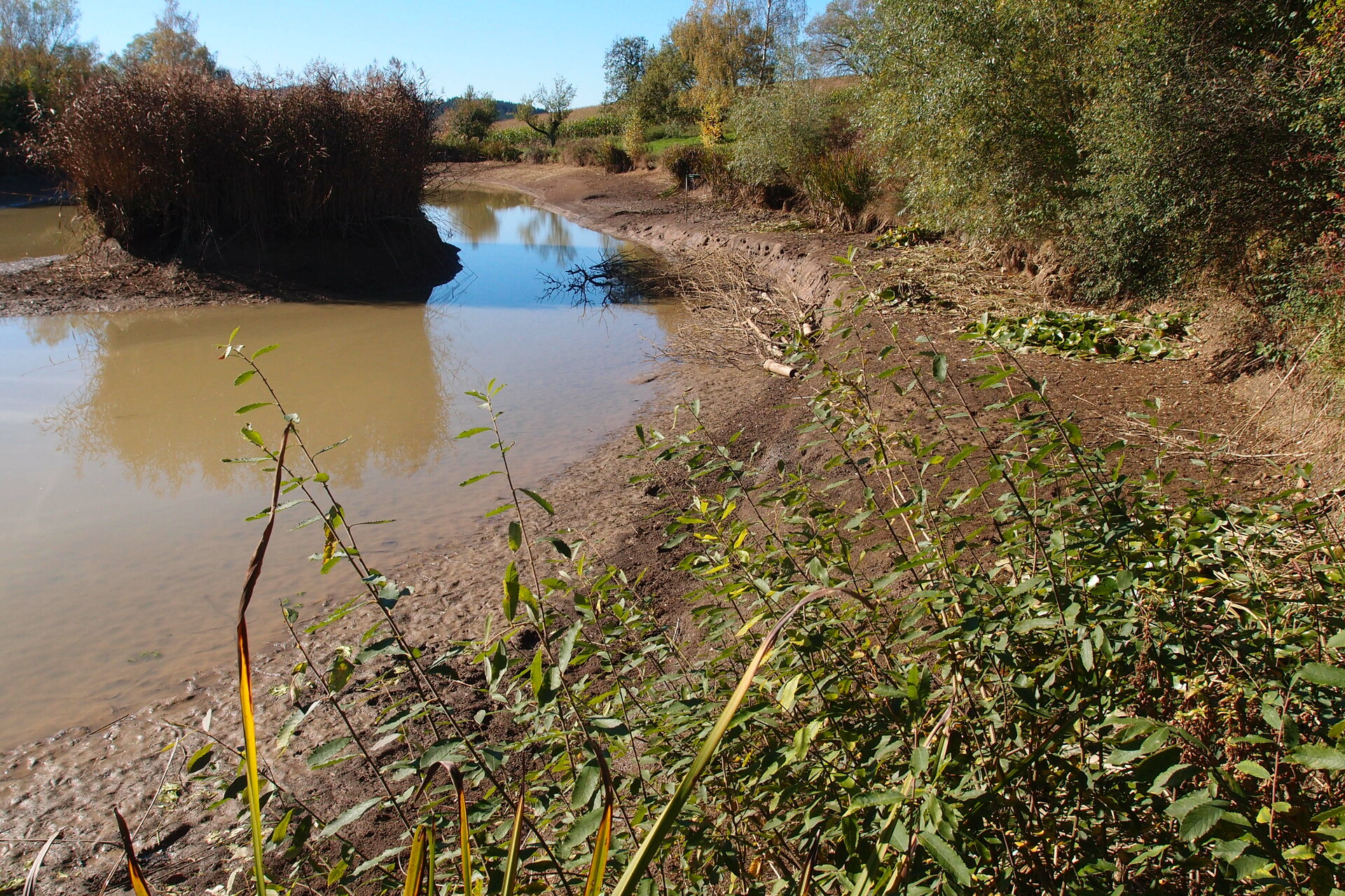 Galeriebild: PA183148